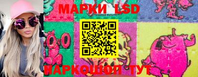 дмт Новокубанск