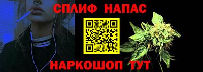 дмт Новокубанск