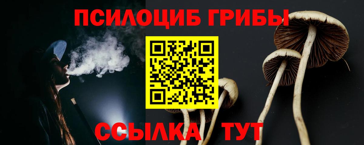Галлюциногенные грибы прущие грибы  Вход с VPN  дарнет шоп  Унеча 
