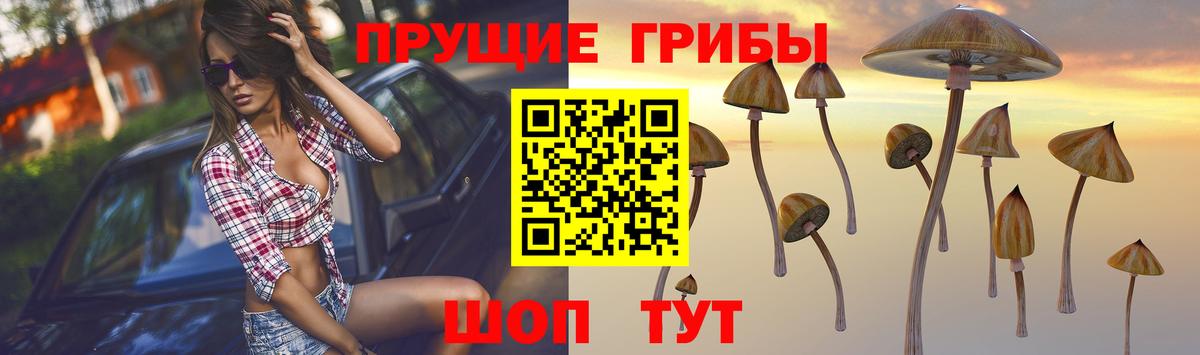 Псилоцибиновые грибы ЛСД Унеча
